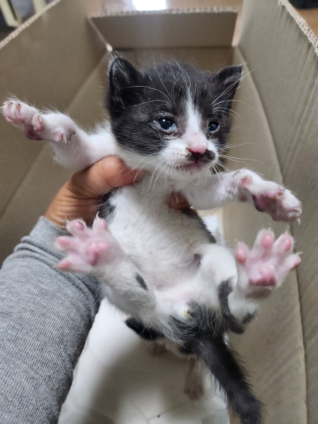 울산유기동물보호센터_431372202400654